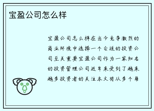 宝盈公司怎么样